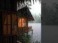 Lakeside Cabin in Endless Rain 🌧️🏕️ #calminframes #rain #rainoundforsleep