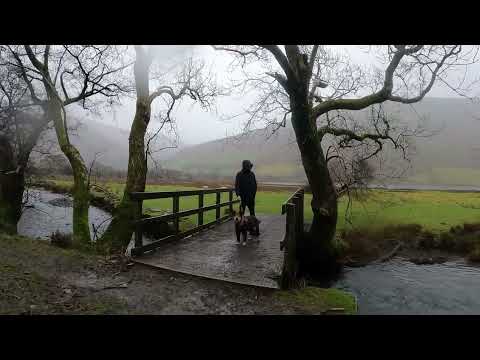 Talyllyn Lake Walk