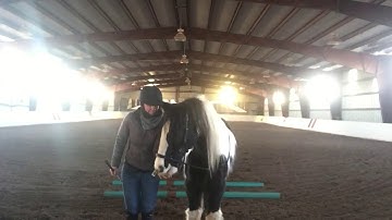 Mounting at liberty with positive reinforcement