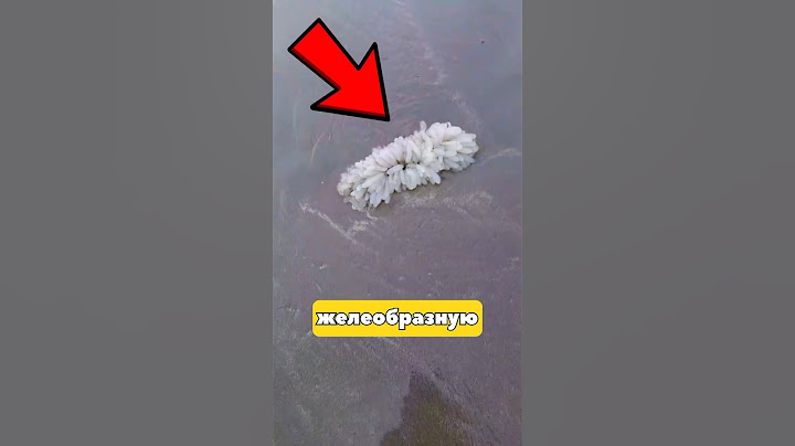 Никогда Не Трогай Это Желе‼️ Природа Опасна😱