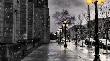 تلاوة خاشعة بصوت الشيخ ماهر بن علي الشاذلي حفظة الله