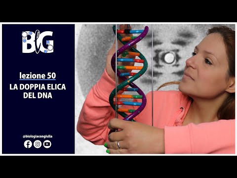 Video: Perché A e T e G e C si accoppiano in una doppia elica del DNA?