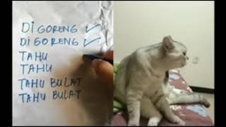 Kucing niru suara pedagang tahu bulat