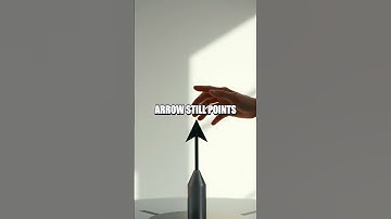 Depth Not Left Right: The Hidden Truth of Mirror Reflections