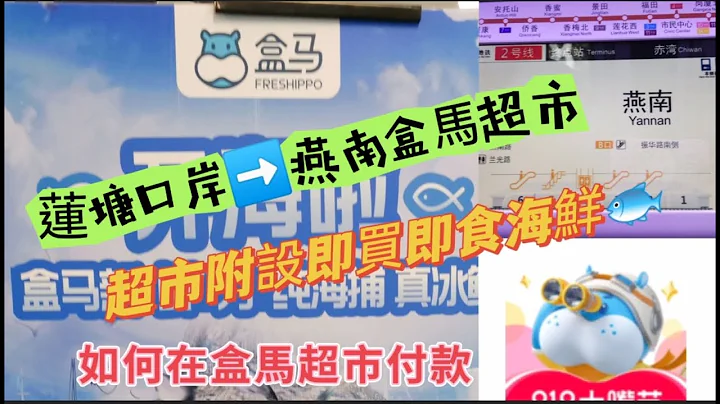 VinaHK【118】蓮塘口岸5個站去燕南站盒馬超級市場｜如何下載App做盒馬會員賺取優惠｜示範手機支付｜手機找不到盒馬軟件，可上網頁版下戴/附連結 - 天天要聞