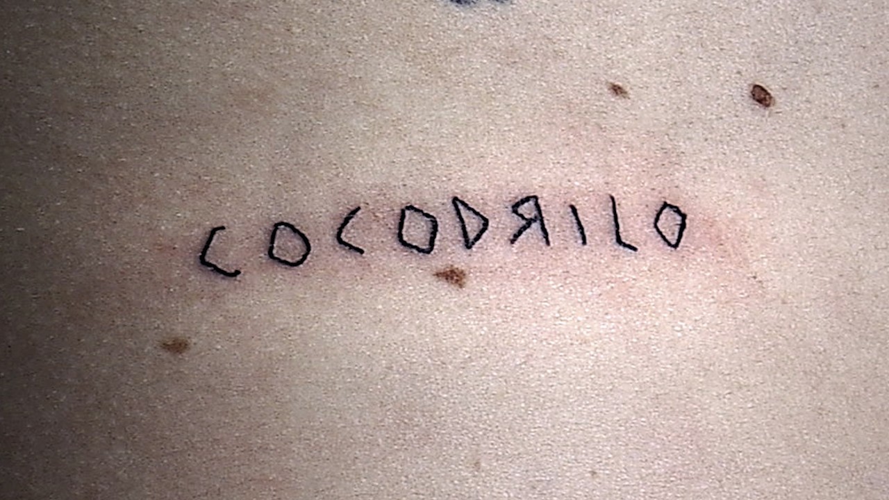 DILLOM - Cocodrilo‎