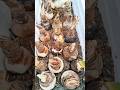 Winter Flowering 💐 Bulbs #bulbousplants #soilmedia #caretips