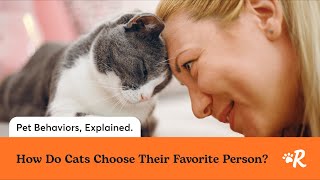 How Cats Choose Their Favorite Person by Rover 1,250 views 4 months ago 2 minutes, 36 seconds