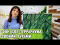 Фон для террариума — Как сделать задний фон для террариума своими руками