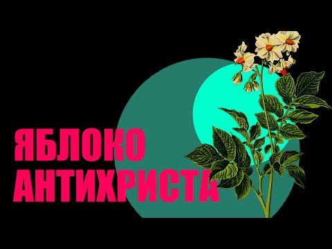 История повседневности: адский корнеплод и картофельные бунты в России.