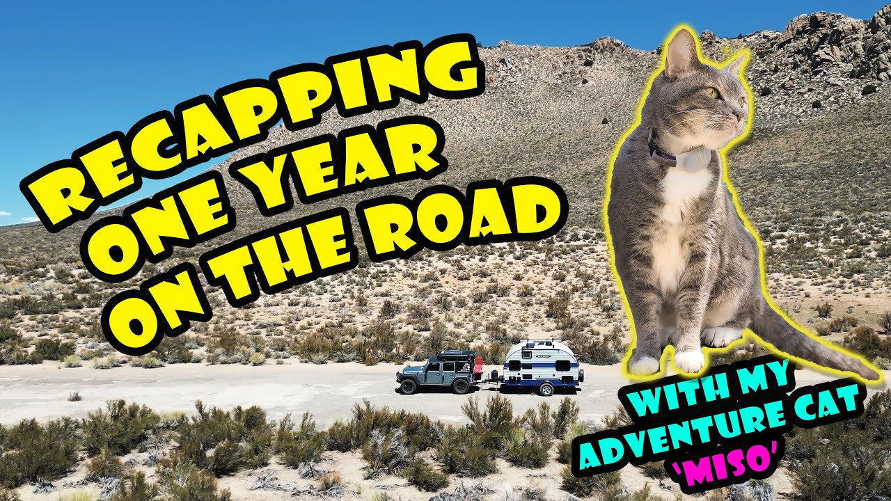 Recapping 1 Year of Full-Time Nomad Life with my Adventure Cat in a Jeep and Trailer