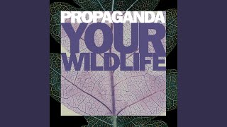 Your Wildlife (Wet &#39;N&#39; Wildlife Mix)