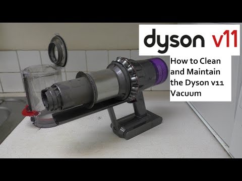 How to Clean and Maintain the Dyson V11 Cordless Vacuum Cleaner
