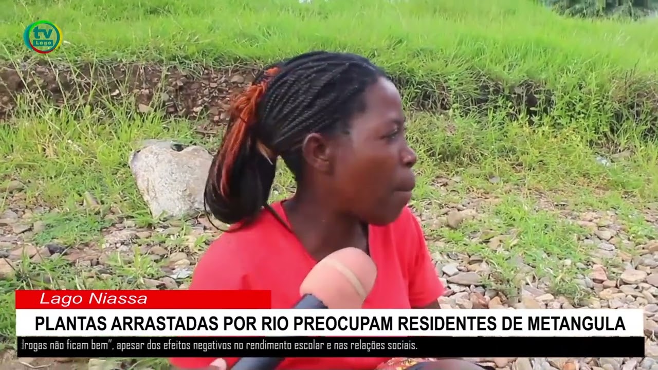 PLANTAS ARRASTADAS PELO RIO LUCHEMANJE PREOCUPAM RESIDENTES DE METANGULA 
