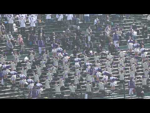 天理の応援 仙台育英vs天理【準々決勝】2021.3.29 第93回選抜高等学校野球大会 阪神甲子園球場 春のセンバツ高校野球 2021年 令和3年【ベスト8】