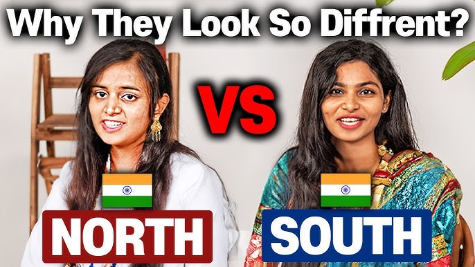 The Difference Between North Indians and South Indians 