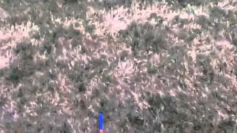 Nerf Longstrike cs-6 range test