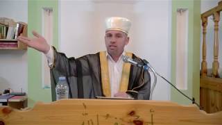 картинка: 