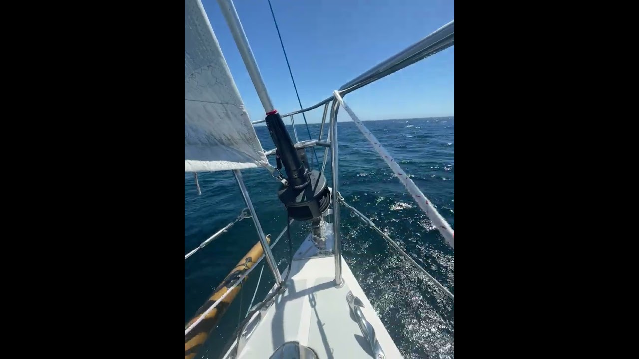 The Best Seat in the House While Sailing! #ourladydefiant #sailing #sailboat #liveaboardlife #boat