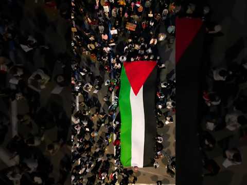 لو يوقف ضدك هالكون لا تيأس الله بالعون أمة لا تهزم وسام شرف أمير دعنا غزة النصر