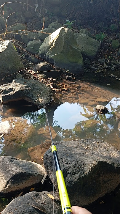 #microfishing #fishing #fishinglife