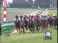 ディープインパクト引退レース　有馬記念ラストラン