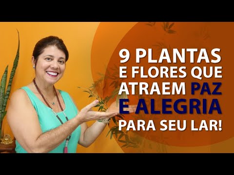 Vídeo: Calceolaria 