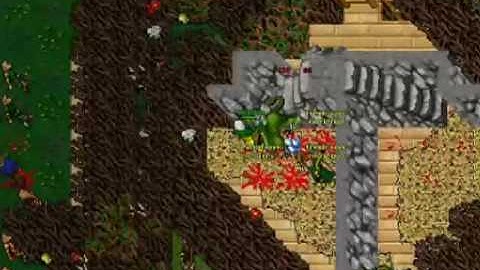 Aus team - Shadowthorn and time ring