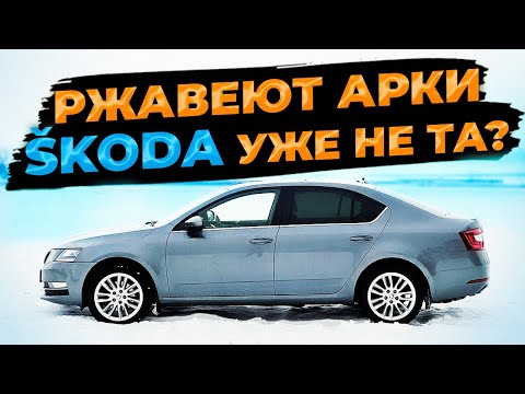 Ржавеют арки SKODA OCTAVIA, ВАГ уже не тот?