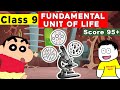 Class 9 science chapter 5  fundamental unit of life  class 9 science  fundamental unit of life