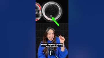 Scientists Create Embryos from Human SKIN Cells