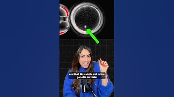 Scientists Create Embryos from Human SKIN Cells