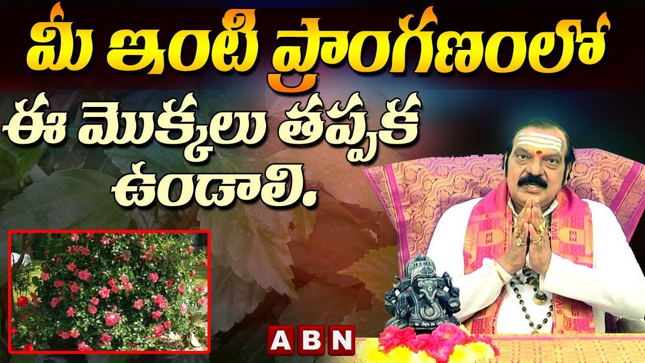మీ ఇంటి ప్రాంగణంలో ఈ మొక్కలు తప్పక ఉండాలి | Dr Machiraju Venugopal Rao | ABN Devotional