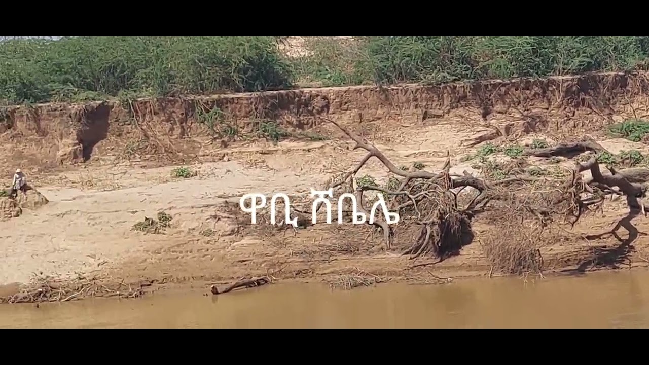 የሸበሌ ወንዘ(ዋቢ ሸበሌ)  በቀላፎ