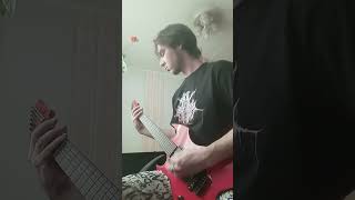 Slipknot — Custer(Guitar Cover)