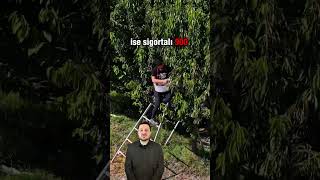 800 Tarlayı Birleştirip Mucize Yarattılar Bu Köyde İşsizlik Yok