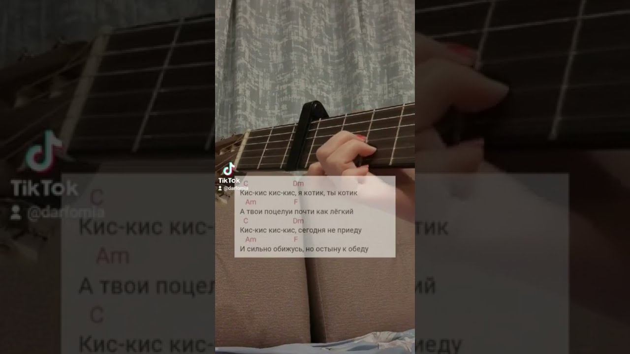 Текст я котик ты котик