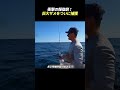衝撃の報復劇！ 巨大サメをついに捕獲