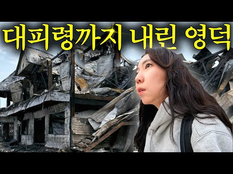 할머니를 찾으러 영덕에 내려왔습니다.