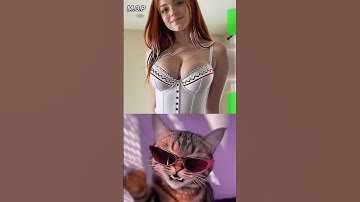 Give this video title #cat #meme #dance