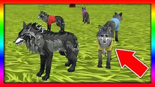 СИМУЛЯТОР ВОЛКА #18 РОДИЛСЯ ВОЛЧОНОК Жизни Зверей WildCraft про котят лис собак ДЕТСКИЕ ИГРЫ СИМУЛЯТОР ВОЛКА #18 РОДИЛСЯ ВОЛЧОНОК Жизни Зверей WildCraft про котят лис собак ДЕТСКИЕ ИГРЫ