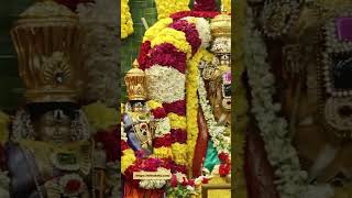 Venkateshwara Swamy beauty is eyefeast for all devotees | Venkateswara Kalyanam at Hyd | #shorts