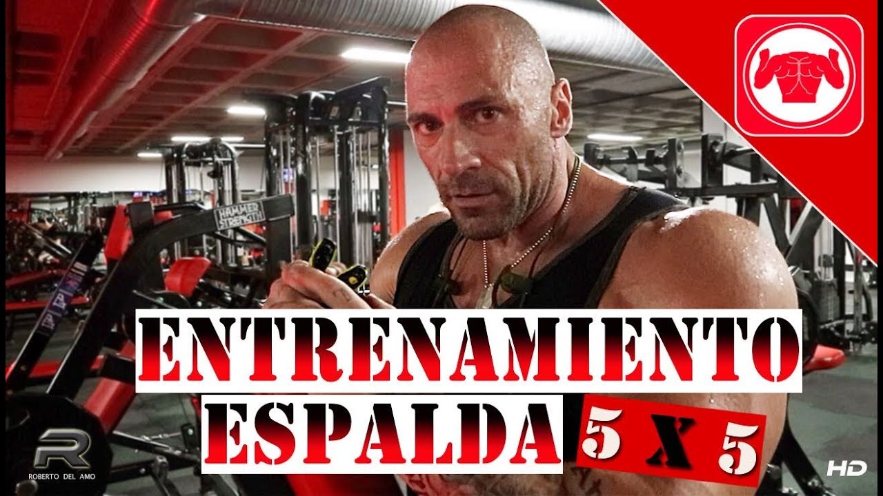 entrenamiento espalda  5 X 5