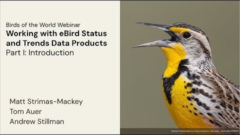 Working w. eBird Status and Trends: An online science workshop for practitioners and R users Part I.