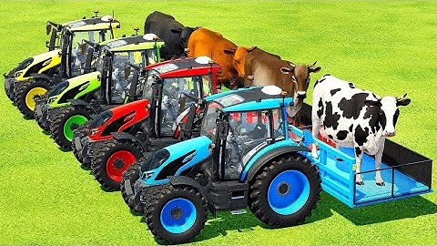 TRANSPORTING COW WITH COLORFUL JCB TRACTORS  - Farming Simulator 22
