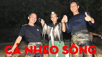 BẮT CÁ NHEO SÔNG-TỰ THỢ RỪNG