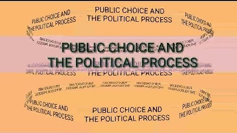 PUBLIC FINANCE:Public Choice and the Political Process