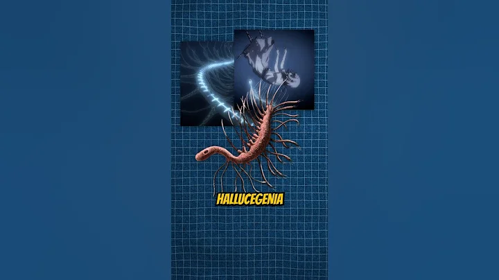 What exactly is the hallucigenia in attack on titan?
