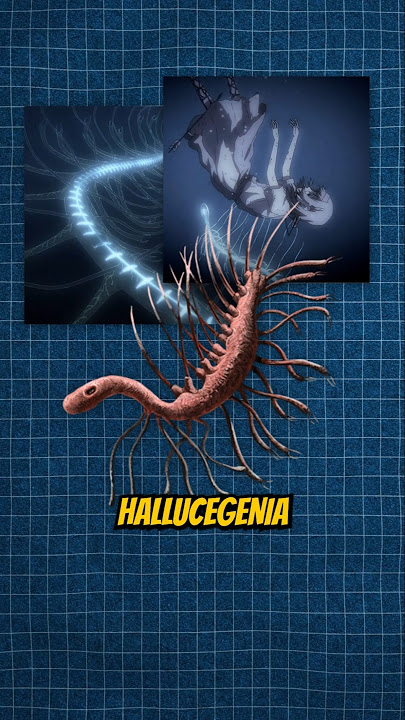What exactly is the hallucigenia in attack on titan?