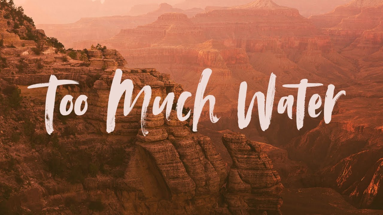Madison McLeod - Too Much Water (Official Lyric Video)